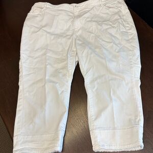 J. Jill Denim Authentic Fit Cropped -  Size 24